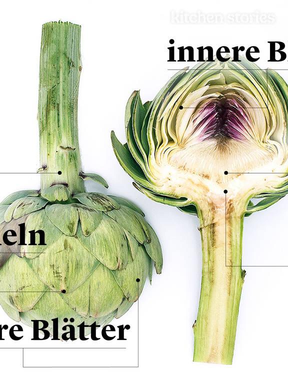 Jetzt in Saison: Artischocken richtig kaufen, lagern und zubereiten