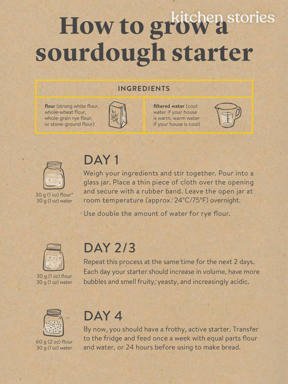 The Simplified Guide To Making Sourdough Starter At Home Stories the-simplified-guide-to-making-sourdough-starter-at-home-stories
